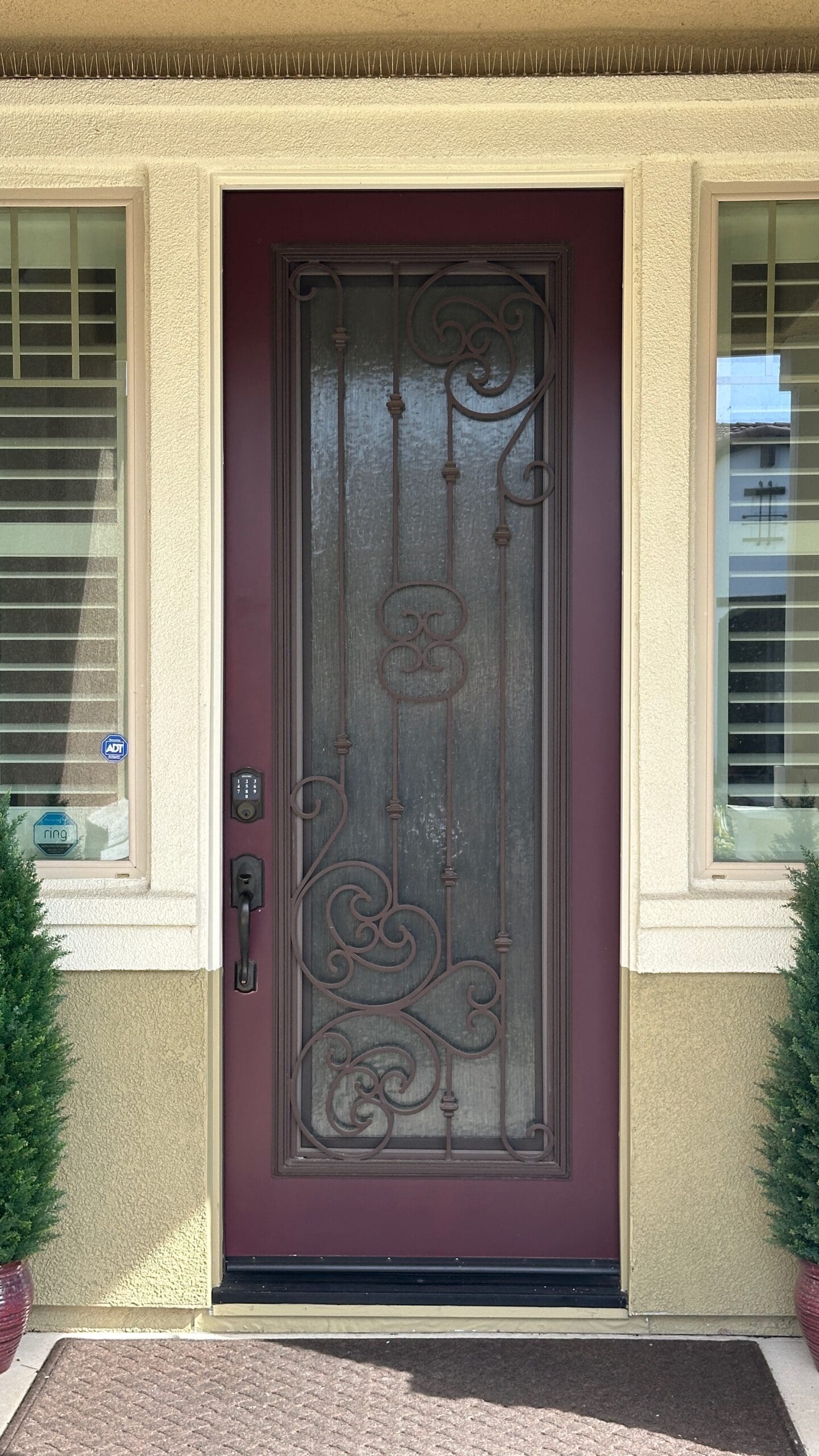 front door painter el dorado hills ca